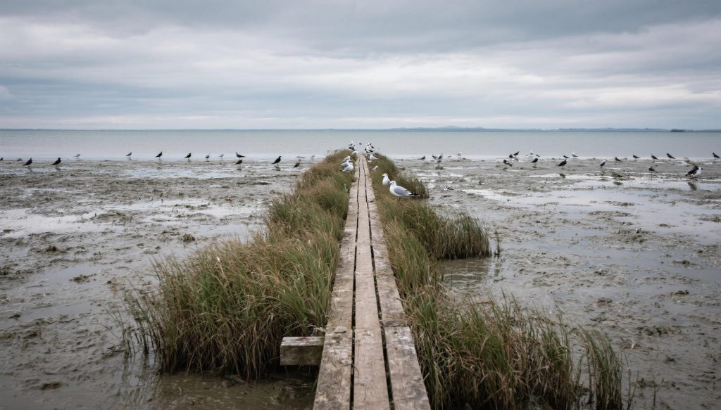 Holzsteg ins Meer