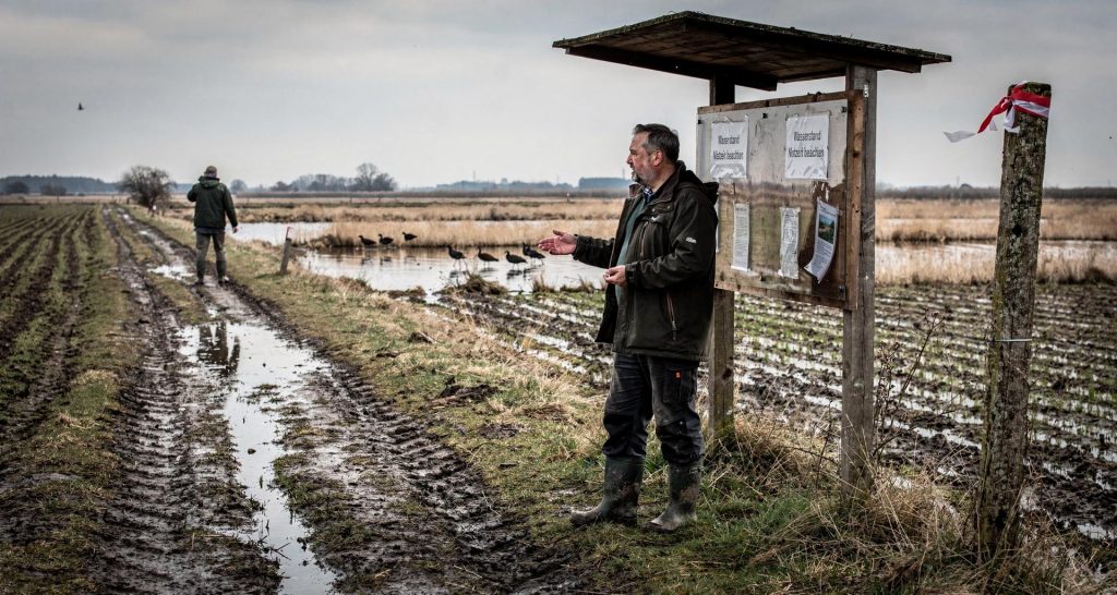 Birdwatching an der Wiesenmulde in Gera