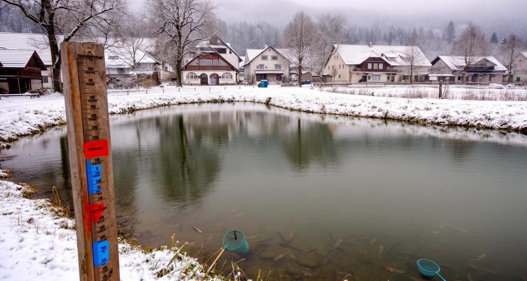 Forellenteich am Dorf