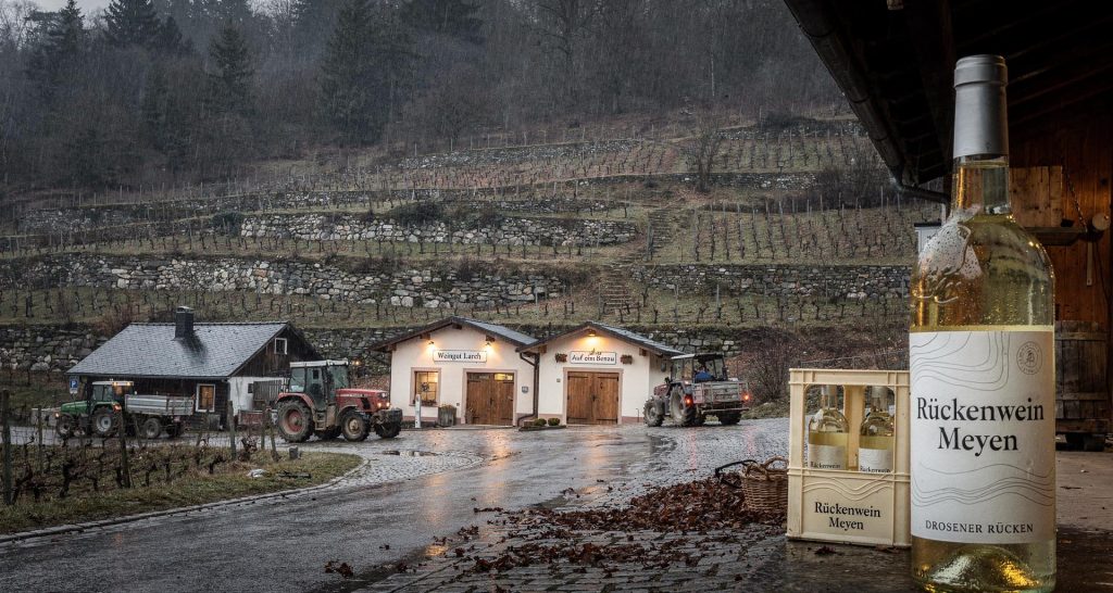 Rückenwein aus Meyen