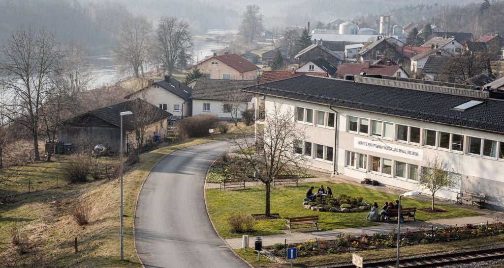 Institut für Veterinärmedizin und Tierzucht