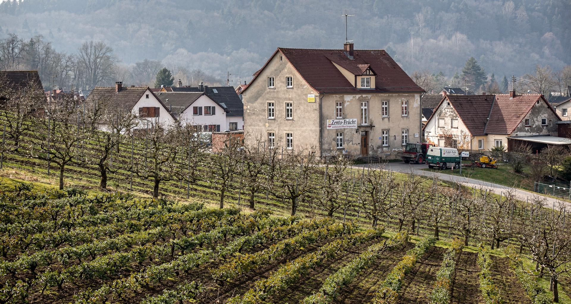 Vogelhain (Kreis Kornumünde – Zentravia)