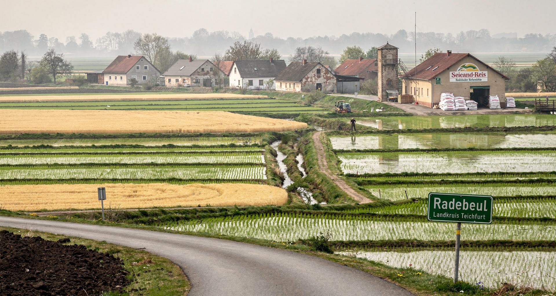 Radebeul (Kreis Teichfurt – Kohlonia)
