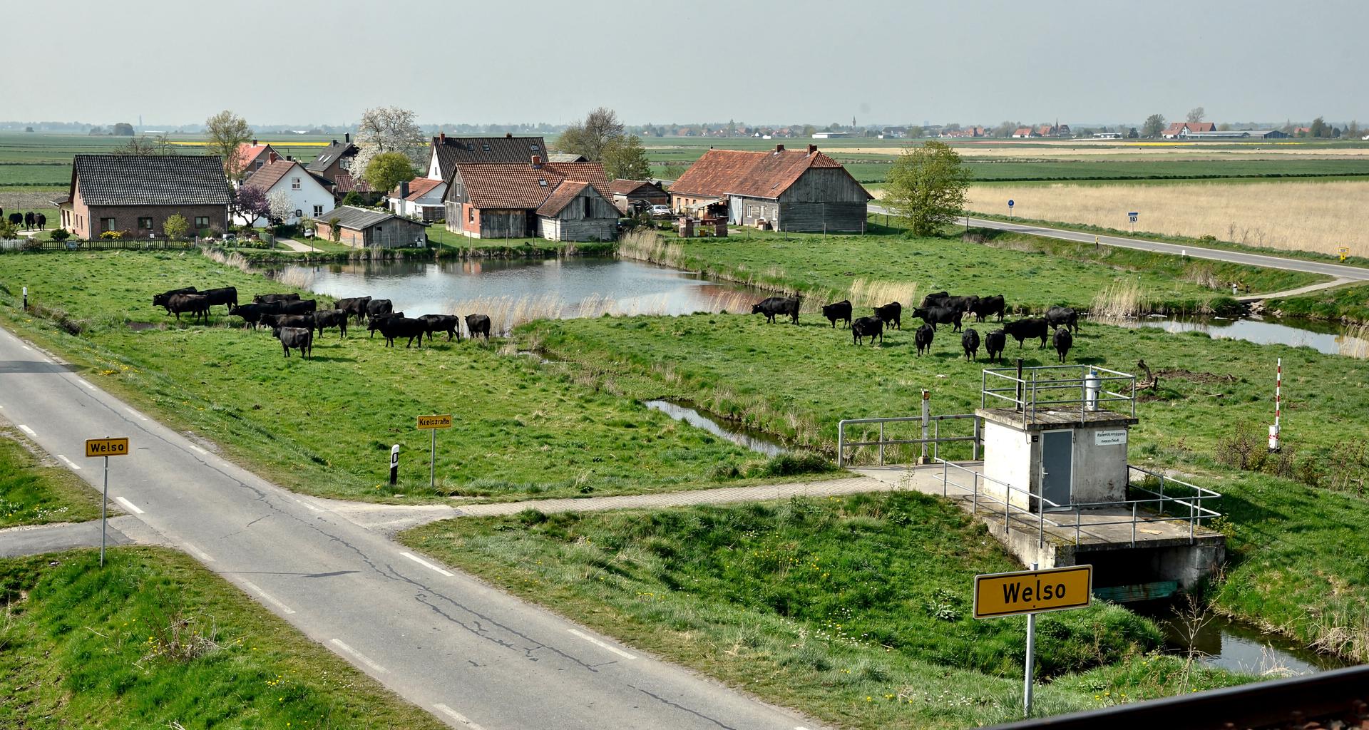 Welso (Kreis Teichfurt – Kohlonia)